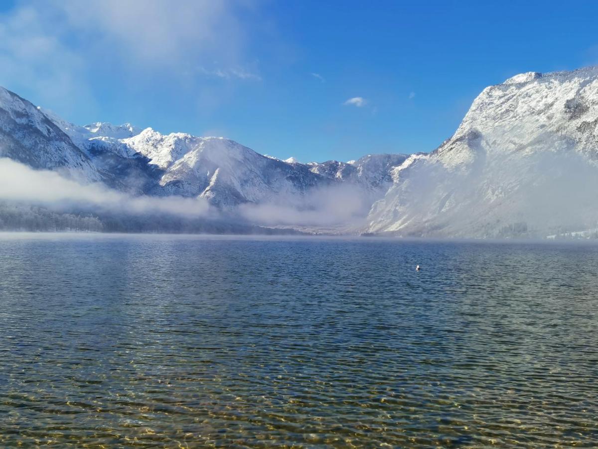 Suha * Bohinj